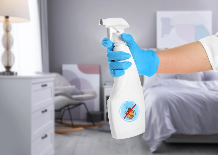 Behandlung von Bettwanzen in Dübendorf 8600
